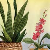 Physiology of Higher Plants: An Outline (2008; Orchid and sansevieria painting by RCM)